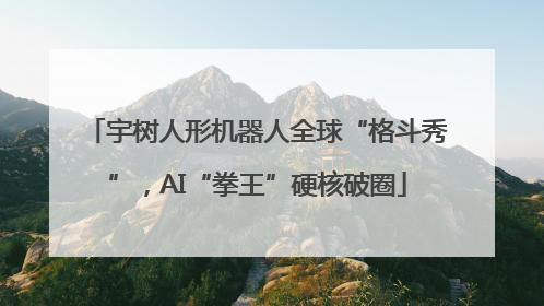 宇树人形机器人全球“格斗秀”，AI“拳王”硬核破圈