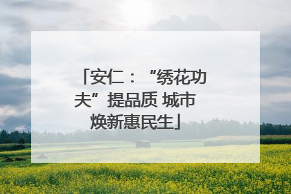 安仁：“绣花功夫”提品质 城市焕新惠民生