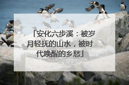 安化六步溪：被岁月轻抚的山水，被时代唤醒的乡愁