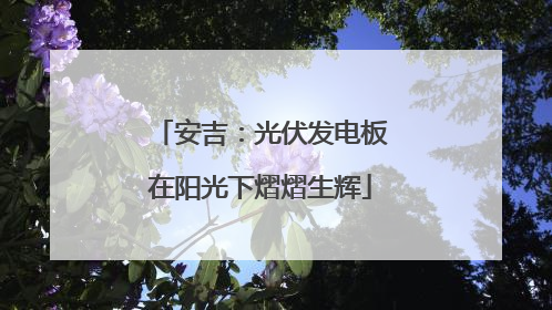 安吉：光伏发电板在阳光下熠熠生辉