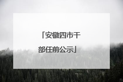 安徽四市干部任前公示