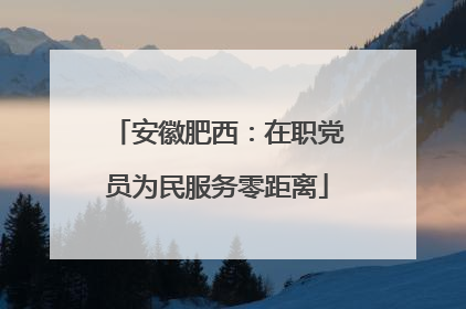 安徽肥西：在职党员为民服务零距离