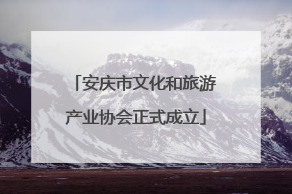 安庆市文化和旅游产业协会正式成立