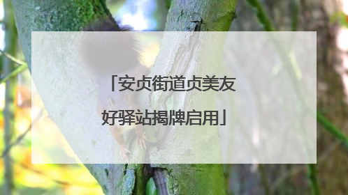 安贞街道贞美友好驿站揭牌启用