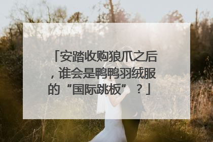 安踏收购狼爪之后，谁会是鸭鸭羽绒服的“国际跳板”？