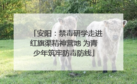 安阳：禁毒研学走进红旗渠精神营地 为青少年筑牢防毒防线