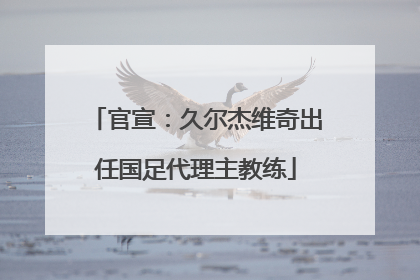官宣：久尔杰维奇出任国足代理主教练