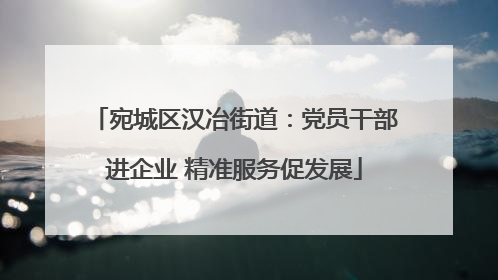 宛城区汉冶街道：党员干部进企业 精准服务促发展