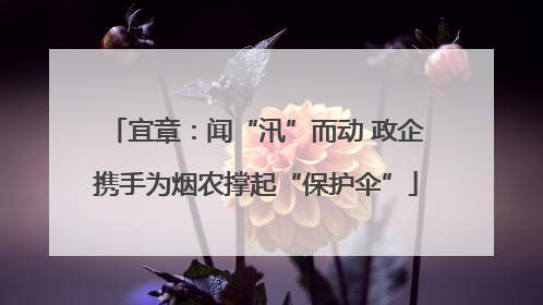 宜章：闻“汛”而动 政企携手为烟农撑起“保护伞”