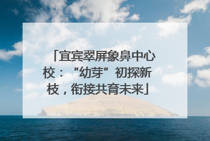 宜宾翠屏象鼻中心校：“幼芽”初探新枝，衔接共育未来