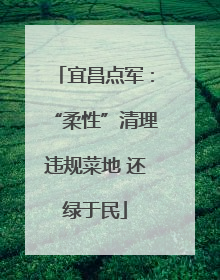 宜昌点军：“柔性”清理违规菜地 还绿于民