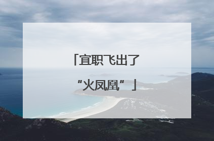 宜职飞出了“火凤凰”