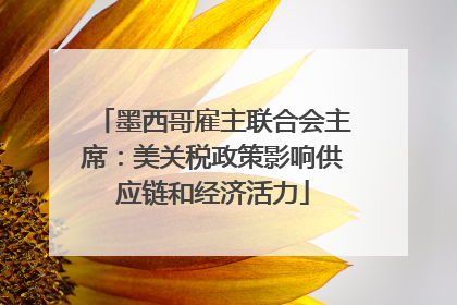 墨西哥雇主联合会主席：美关税政策影响供应链和经济活力