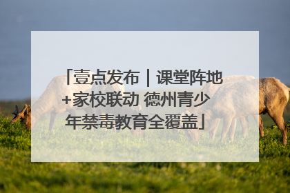 壹点发布｜课堂阵地+家校联动 德州青少年禁毒教育全覆盖