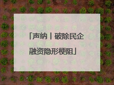声纳丨破除民企融资隐形梗阻