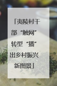 夷陵村干部“触网”转型“播”出乡村振兴新图景