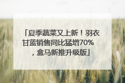 夏季蔬菜又上新！羽衣甘蓝销售同比猛增70%，盒马新推升级版
