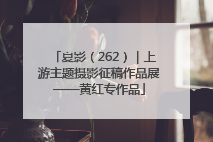 夏影（262）｜上游主题摄影征稿作品展——黄红专作品
