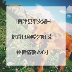 夏津县平安湖村：粽香包意暖夕阳 艾锤传情敬老心