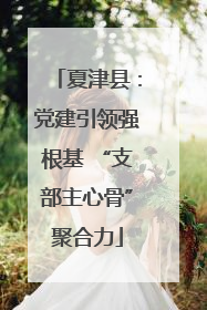 夏津县：党建引领强根基 “支部主心骨”聚合力