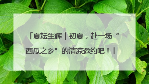 夏耘生辉｜初夏，赴一场“西瓜之乡”的清凉邀约吧！