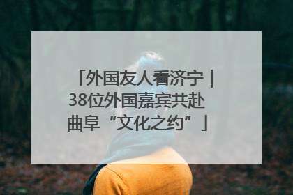 外国友人看济宁｜38位外国嘉宾共赴曲阜“文化之约”
