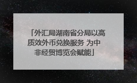 外汇局湖南省分局以高质效外币兑换服务 为中非经贸博览会赋能