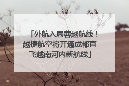 外航入局蓉越航线！越捷航空将开通成都直飞越南河内新航线