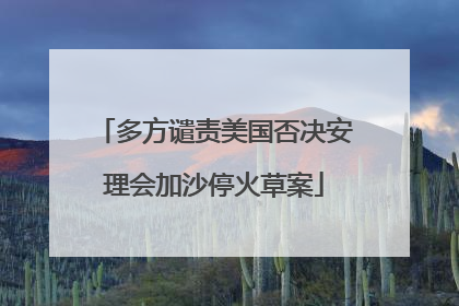 多方谴责美国否决安理会加沙停火草案