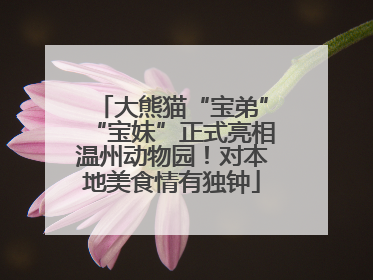 大熊猫“宝弟”“宝妹”正式亮相温州动物园！对本地美食情有独钟