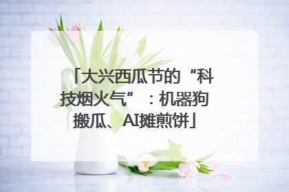 大兴西瓜节的“科技烟火气”：机器狗搬瓜、AI摊煎饼