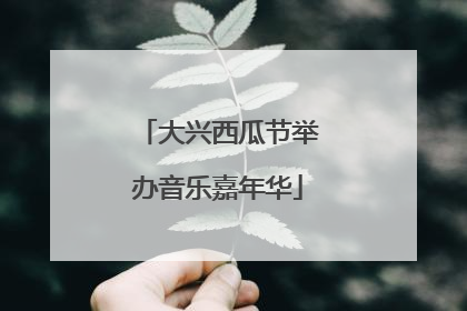 大兴西瓜节举办音乐嘉年华