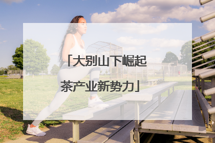 大别山下崛起茶产业新势力