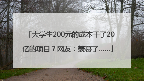 大学生200元的成本干了20亿的项目？网友：羡慕了……