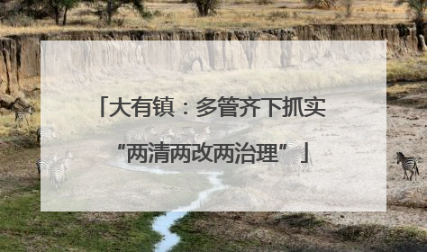 大有镇：多管齐下抓实“两清两改两治理”