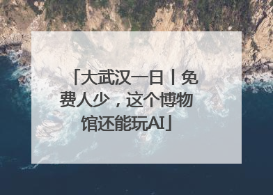 大武汉一日丨免费人少，这个博物馆还能玩AI