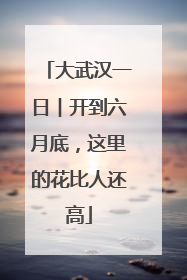 大武汉一日︱开到六月底，这里的花比人还高