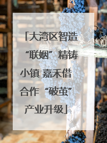 大湾区智造“联姻”精铸小镇 嘉禾借合作“破茧”产业升级