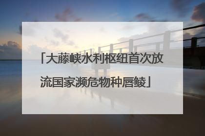 大藤峡水利枢纽首次放流国家濒危物种唇鲮