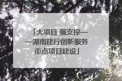 大项目 强支撑——湖南建行创新服务重点项目建设
