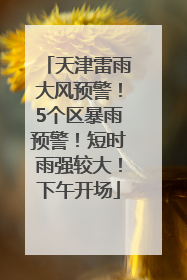 天津雷雨大风预警！5个区暴雨预警！短时雨强较大！下午开场