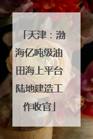 天津：渤海亿吨级油田海上平台陆地建造工作收官