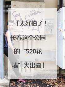太好拍了！长春这个公园的“520花墙”火出圈