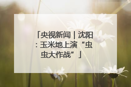 央视新闻｜沈阳：玉米地上演“虫虫大作战”