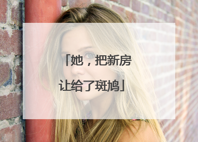 她，把新房让给了斑鸠