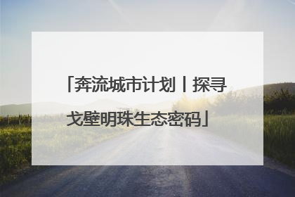 奔流城市计划丨探寻戈壁明珠生态密码