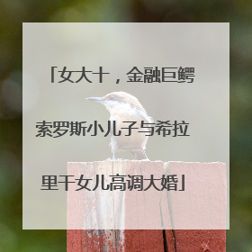 女大十，金融巨鳄索罗斯小儿子与希拉里干女儿高调大婚