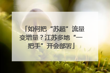 如何把“苏超”流量变增量？江苏多地“一把手”开会部署