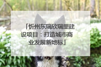 忻州东瑞欣瑞里建设项目：打造城市商业发展新地标