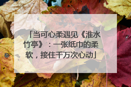 当可心柔遇见《淮水竹亭》：一张纸巾的柔软，接住千万次心动